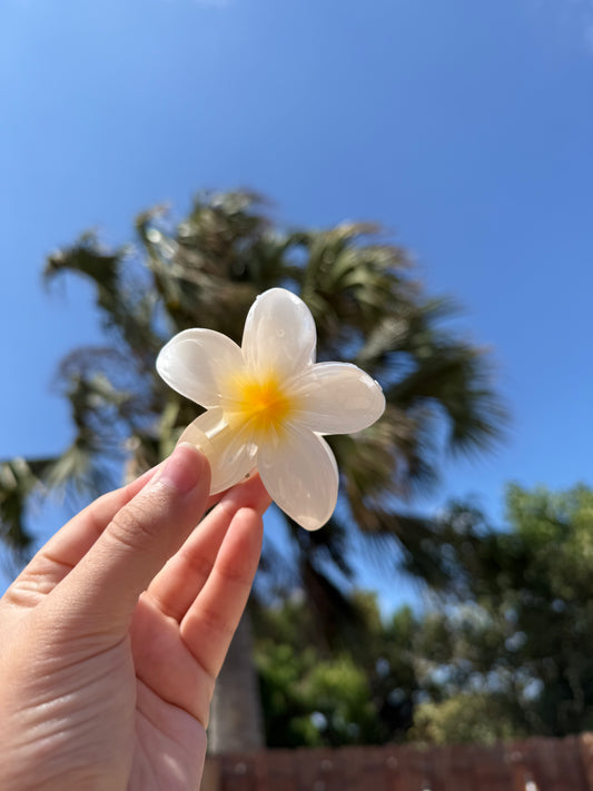 Flower hair claw