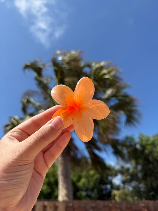 Flower hair claw