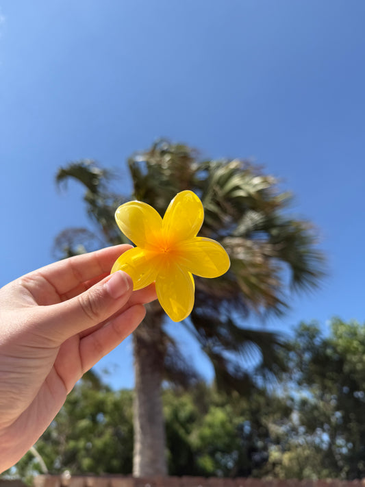 Flower hair claw
