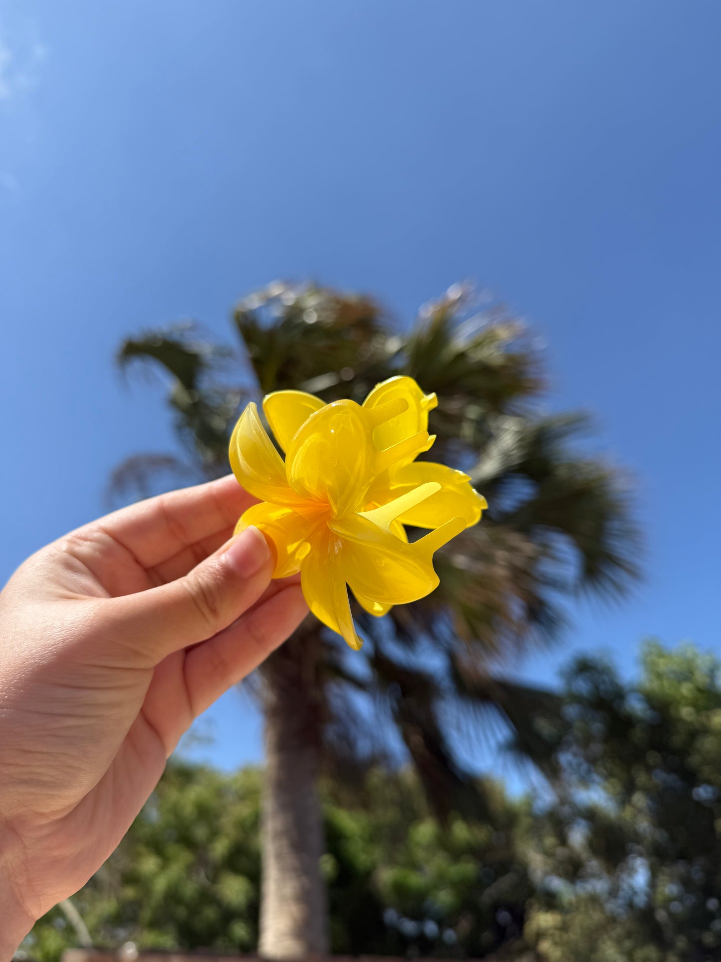 Flower hair claw