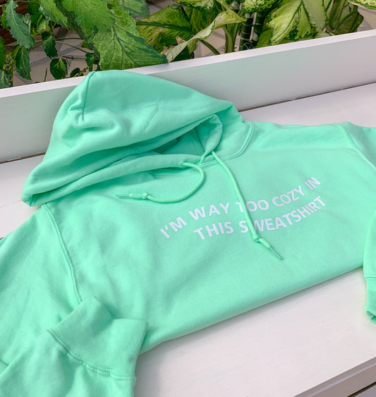 Way too cozy mint sweatshirt